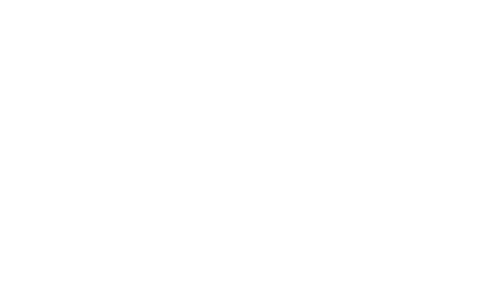 Afición de Reyes